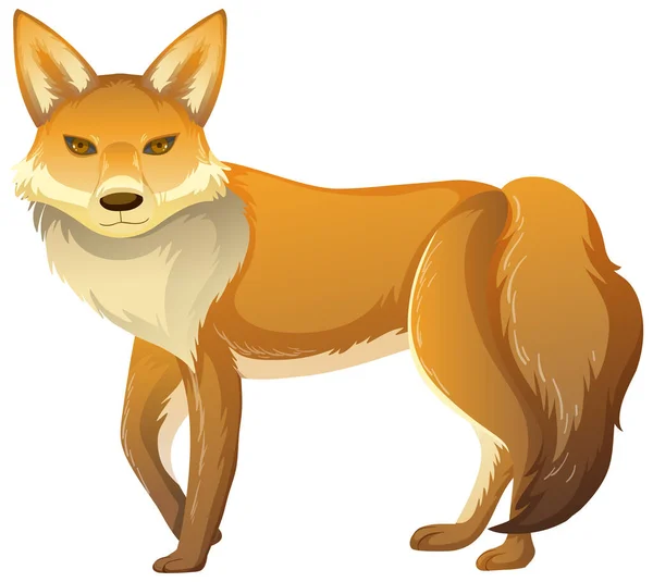 Fox Animal Sobre Fondo Blanco Ilustración — Vector de stock