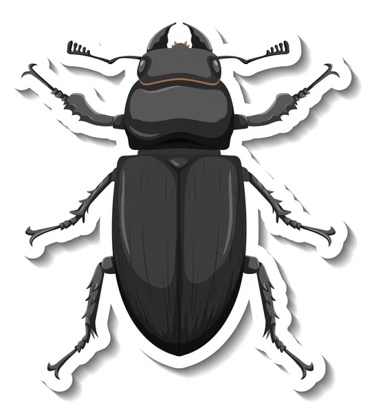 Sticker Template Top View Beetle Isolated Illustration — Stock Vector