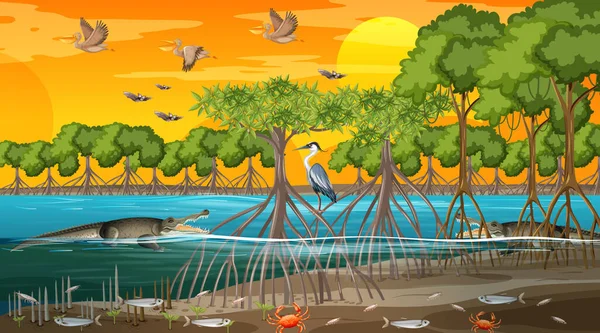 Mangrove Bos Landschap Scène Bij Zonsondergang Tijd Met Veel Verschillende — Stockvector