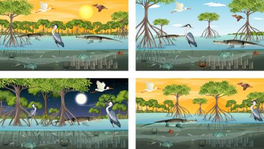 Hayvanlar ve bitkilerin resimleriyle farklı mangrov orman manzaraları.