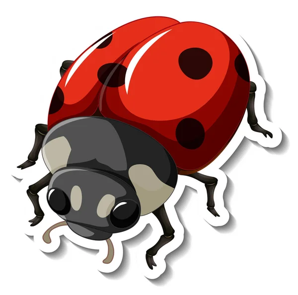 Een Sticker Sjabloon Met Een Rode Lieveheersbeestje Geïsoleerde Illustratie — Stockvector