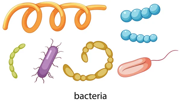 Conjunto Iconos Bacterianos Aislados Sobre Fondo Blanco Ilustración — Vector de stock