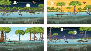 Farklı mangrov ormanları ve hayvan resimleri.