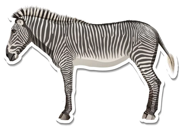 Szablon Naklejki Postaci Kreskówki Zebra Ilustracja — Wektor stockowy