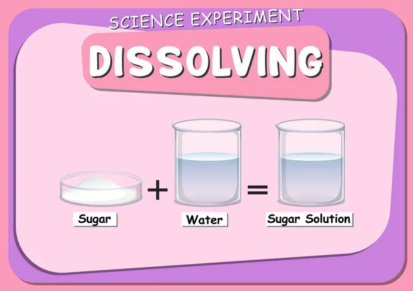 Disolver Experimento Científico Con Azúcar Disuelve Ilustración Del Agua — Vector de stock