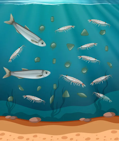 Fische Und Plankton Wasser Illustration — Stockvektor