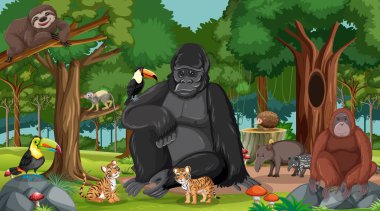 Ormandaki ya da yağmur ormanlarındaki diğer vahşi hayvanlarla goril resimleri.