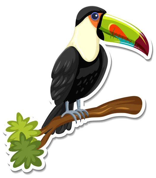 Modelo Adesivo Ilustração Personagem Desenho Animado Tucano —  Vetores de Stock