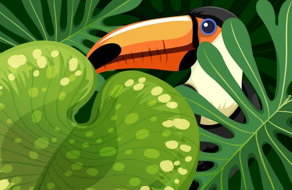 Tukan Vogel Dschungel Versteckt Illustration — Stockvektor