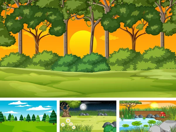 Quatre Scènes Différentes Parc Naturel Illustration Forêt — Image vectorielle