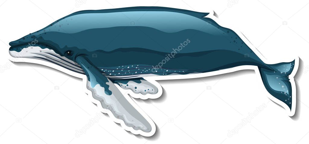A sticker template of whale cartoon character illustration