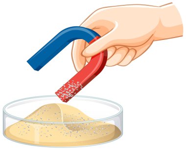 Separating mixtures by using magnet illustration clipart