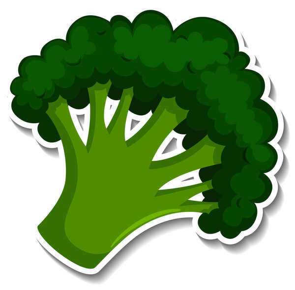 Broccoli sticker on white background illustration