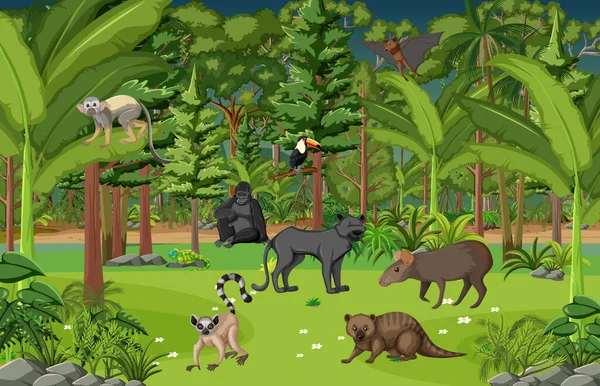 Scena Della Foresta Pluviale Tropicale Con Vari Animali Selvatici Illustrazione — Vettoriale Stock