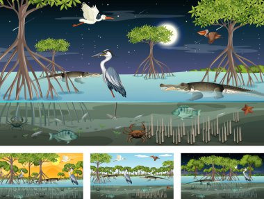 Hayvanlar ve bitkilerin resimleriyle farklı mangrov orman manzaraları.