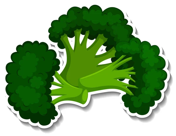 Broccoli Sticker White Background Illustration — Stock Vector