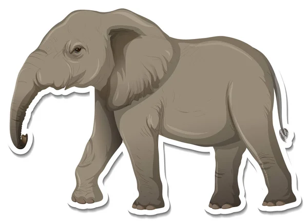 Klistermärke Mall Elefant Tecknad Karaktär Illustration — Stock vektor