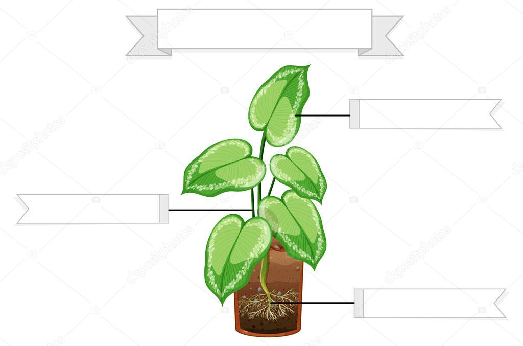 Write parts of a plant worksheet for kids illustration