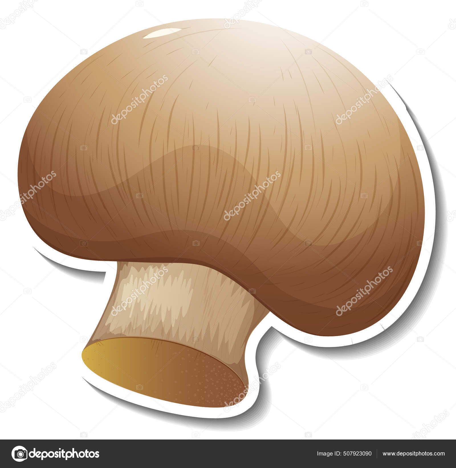 Autocollant Champignon Sur Fond Blanc Illustration Vecteur par  ©blueringmedia 507923090