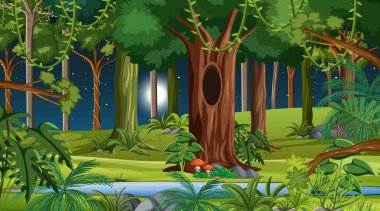 Çöl ormanı manzarası, gece manzarası.