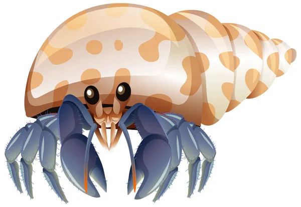 Hermit Crab Cartoon Style White Background Illustration — Stock Vector