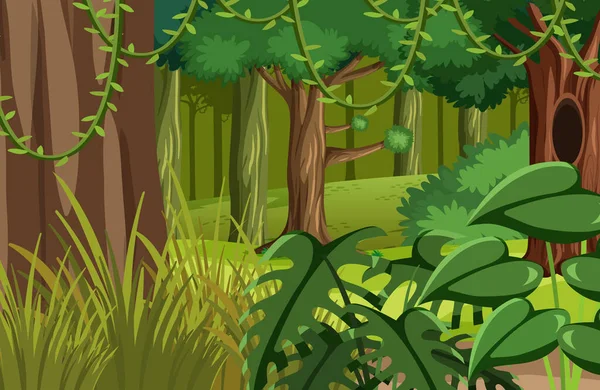 緑のジャングルの自然風景イラスト — ストックベクタ