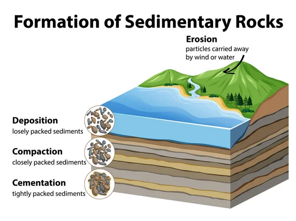 Formación Rocas Sedimentarias Ilustración — Vector de stock