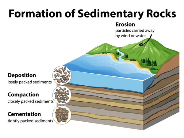 Formazione Rocce Sedimentarie Illustrazione — Vettoriale Stock