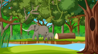 Ormanda ya da yağmur ormanlarında birçok ağaç resimli bir fil anne ve bebek