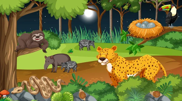 Bosque Escena Nocturna Con Diferentes Animales Salvajes Ilustración — Vector de stock