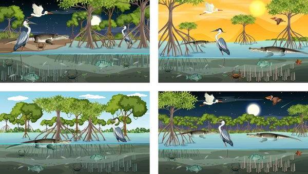Різні Мангрові Лісові Пейзажні Сцени Ілюстраціями Тварин Рослин — стоковий вектор