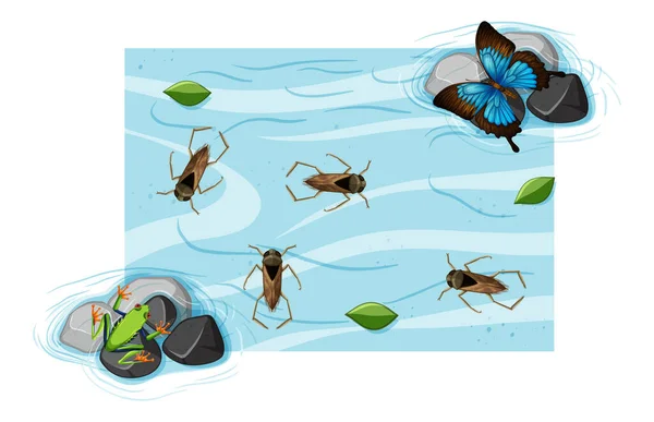 Vue Dessus Des Insectes Aquatiques Dans Étang Illustration — Image vectorielle