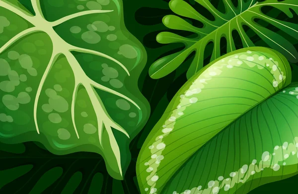 Ilustración Fondo Hojas Tropicales Verdes — Vector de stock