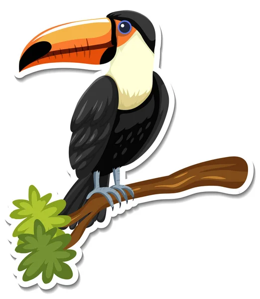 Matrica Sablon Toucan Rajzfilm Karakter Illusztráció — Stock Vector