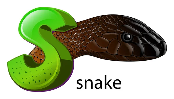 A letter S for snake — Stock Vector