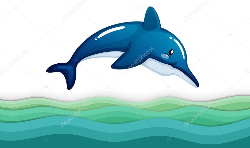 A dolphin in the ocean