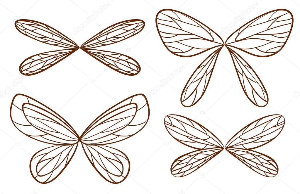 fairy wings drawings