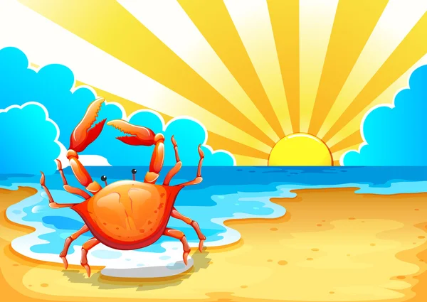 A beach with a crab — Stock Vector