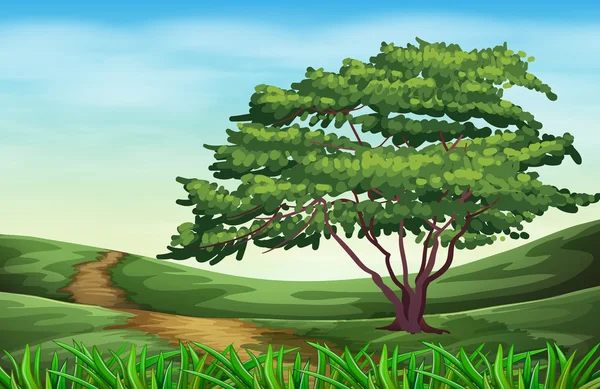 背の高い木と美しい風景 — ストックベクタ