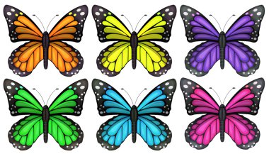 Colourful butterflies clipart