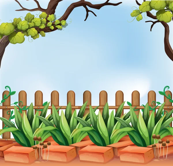 A backyard with a fence — Stock Vector