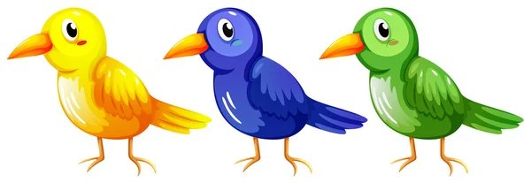 Τρία πολύχρωμα πουλιά — Διανυσματικό Αρχείο