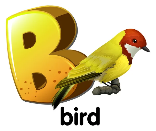 A levelet b, madár — Stock Vector