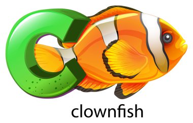 palyaço balığı için harf c