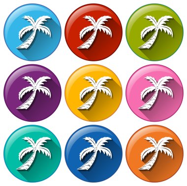 Hindistan cevizi ağaçları ile yuvarlak düğmeleri