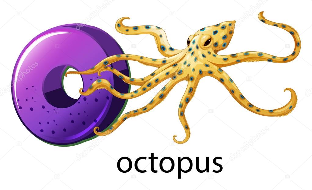 A letter O for octopus