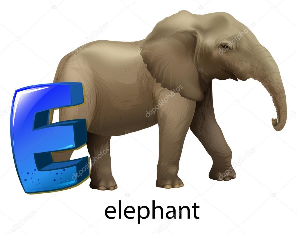 A letter E for elephant
