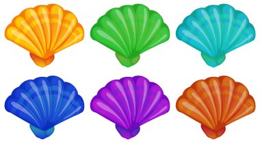 A group of shells clipart