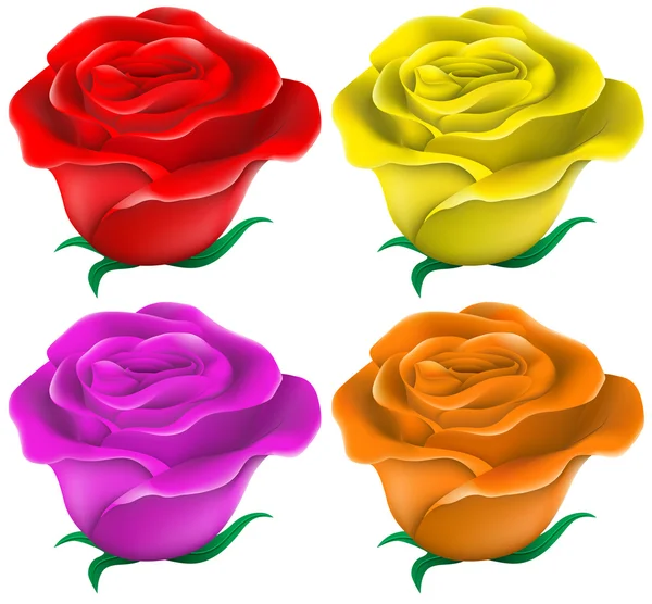 Rosas coloridas — Vetor de Stock