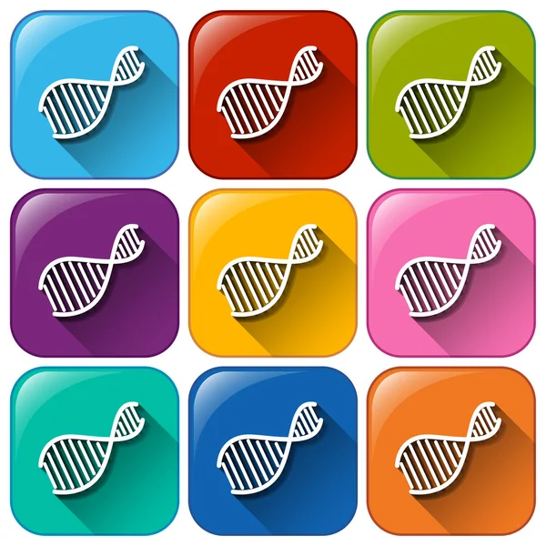 DNA pictogrammen — Stockvector